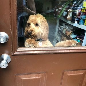 Meet your Posher, Anna